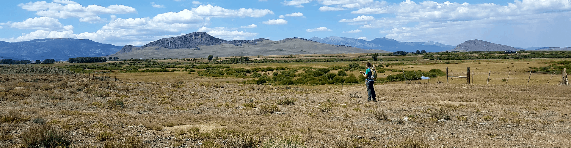 Archaeologist conducting a field survey