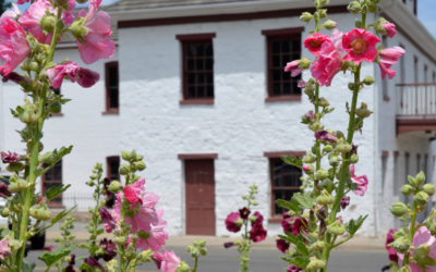 Astor House and Metcalf Archaeology